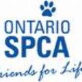 Ontario SPCA