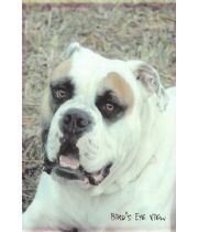 buster  browen's Memorial