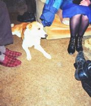 polly  shipley/long's Memorial