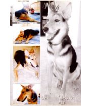 Kenji  Lee's Memorial