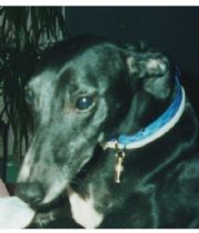 Jet  's Memorial
