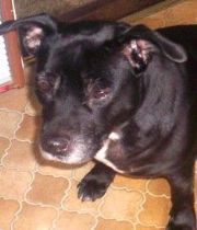 Roxy  Jacob's Memorial