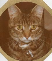 Tibby  's Memorial