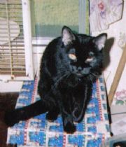 moo- kitty  eldridge's Memorial