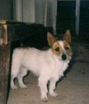 Muffy  's Memorial