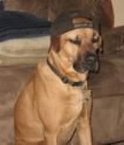 Hemi  Bolig's Memorial