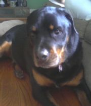 Rockne 
