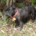 josephine's Online Memorials