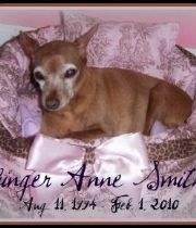Ginger Anne  Smith's Memorial