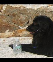 Keena  Pestana's Memorial