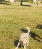 Daisy  Mikelsone's Memorial