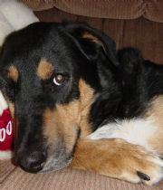 Zeus  Kelley's Memorial