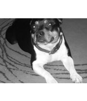 Bella  Jacob's Memorial